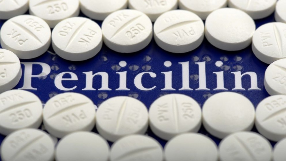 Image result for Sự khám phá ra Penicillin.