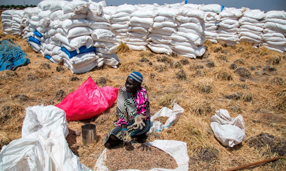 Kết quả hình ảnh cho An ninh lương thực tại Châu Phi những năm đầu thế kỷ 21 - thực trạng và một số giải pháp