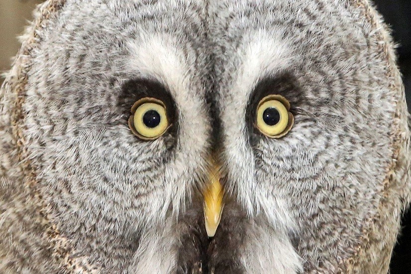 Ảnh ấn tượng tuần (10-16/10): Lính Ukraine bắn súng phóng lựu Mỹ, ông Biden nói ông Putin sai lầm dù lý trí, Nga tôn trọng lập trường Trung Quốc-Ấn Độ