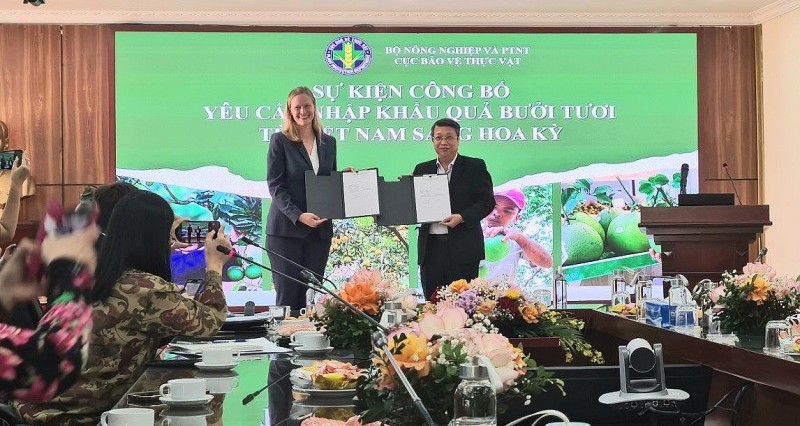 Xuất khẩu ngày 17-21/10: Bưởi Việt Nam chính thức được 'cấp visa' sang Hoa Kỳ, Xuất khẩu ngày 17-21/10: Bưởi Việt Nam chính thức được 'cấp visa' sang Hoa Kỳ; kết nối nông sản Bến Tre với thị trường Hồi giáo