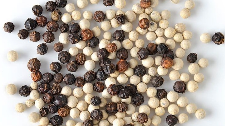 gia tieu hom nay 2632025 bat gio quay dau giam manh nhan dinh trien vong thi truong dai han