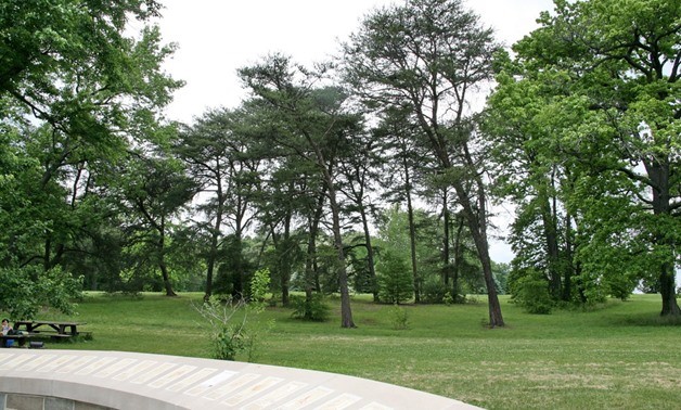 Ai Cập triển khai trồng 100 triệu cây xanh nhằm chống biến đổi khí hậu