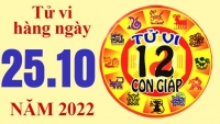 Tử vi hôm nay, xem tử vi 12 con giáp ngày 25/10/2022: Tuổi Hợi công việc nhiều may mắn