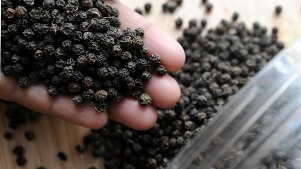 Giá tiêu hôm nay 1/12, thị trường phản ứng trái chiều, giá hồ tiêu Việt Nam xuất khẩu tăng