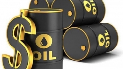 Giá xăng dầu hôm nay 28/10: Biến động nhẹ; xuất khẩu dầu thô của Mỹ đạt kỷ lục