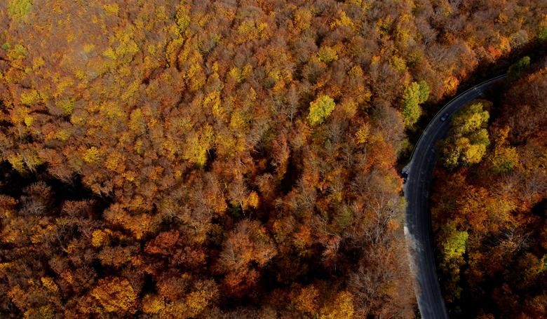 Khung cảnh mùa Thu ở Bắc bán cầu đẹp long lanh như trong truyện cổ tích