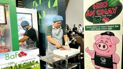 Giá heo hơi hôm nay 31/10: Giá heo hơi miền Bắc tiếp đà giảm, 'heo ăn chay' có gì?