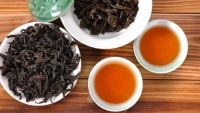 Truyền thuyết về loại trà quý hiếm từ Trung Quốc, chuyên dùng để tiến vua, giá hàng chục tỷ đồng/cân
