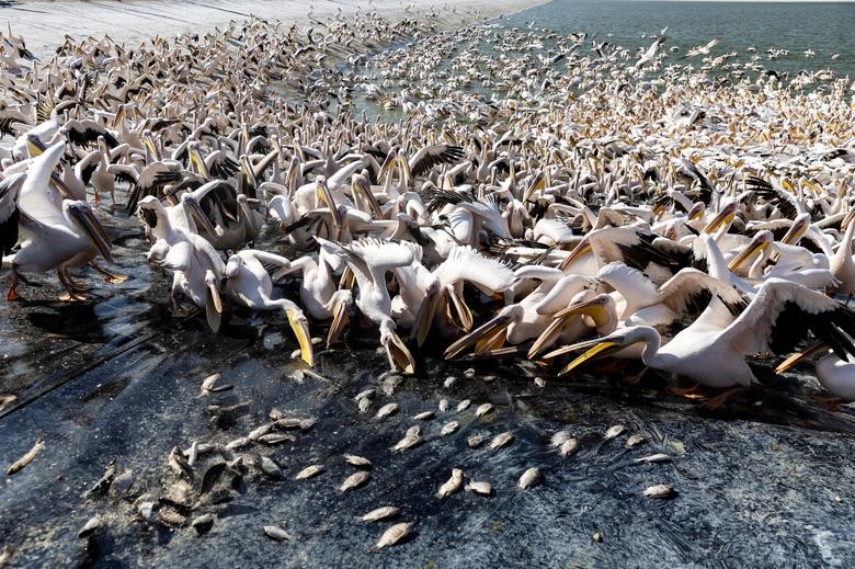 Ảnh ấn tượng tuần (31/10-6/11): Xung đột Ukraine, ông Putin nói số người được động viên quân sự ‘rất lớn’, G7 ‘mở lời’ với Nga về thỏa thuận ngũ cốc