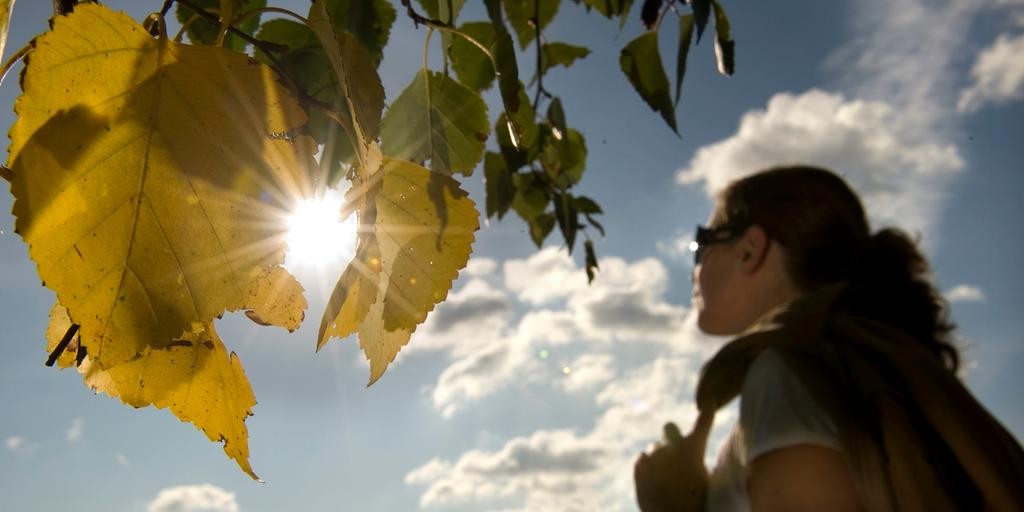 Điểm tin thế giới sáng 9/11: