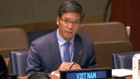 Việt Nam kêu gọi ủng hộ cho người tị nạn Palestine