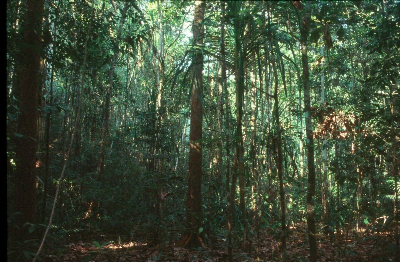 diem tin the gioi sang 1111 mynhathan hop tai campuchia singapore quyet loai tru thong tin xau doc ai thay tong thong putin du hoi nghi g20