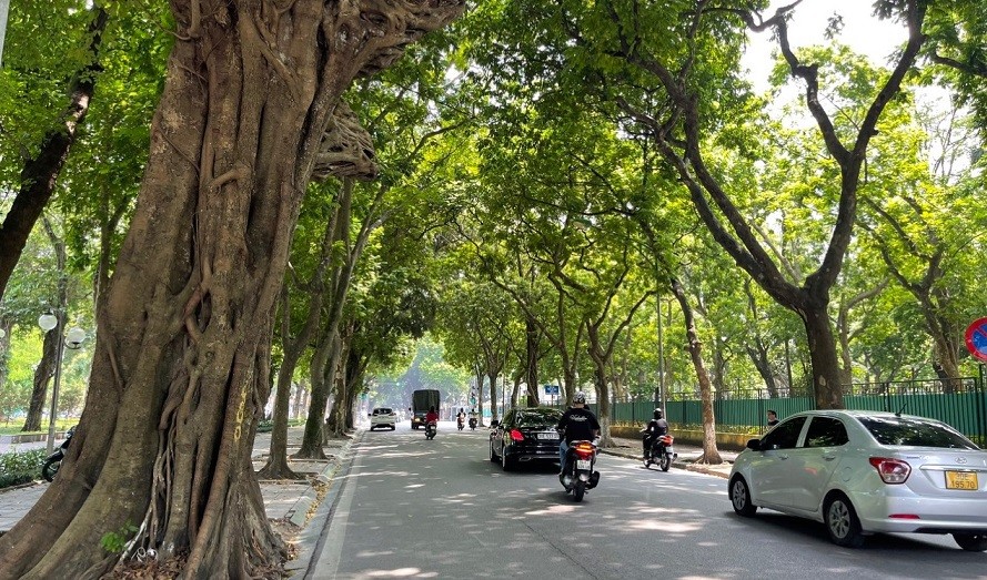 Dự báo thời tiết đêm nay và ngày mai (11-12/11): Hà Nội và nhiều nơi nắng; Bắc Bộ, Bắc Trung Bộ lạnh về đêm và sáng sớm; Nam Bộ tối đêm mưa to cục bộ