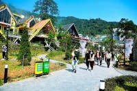 Tam Đảo trở thành Thị trấn du lịch hàng đầu thế giới năm 2022