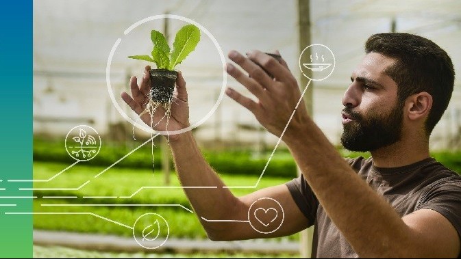 Ai Cập và FAO phát động sáng kiến về nông nghiệp và lương thực Ai Cập và FAO phát động sáng kiến về nông nghiệp và lương thực