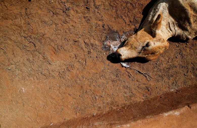 Ảnh ấn tượng tuần (7-13/11): Nữ binh sĩ Ukraine bắn pháo tự hành 2S7 Pion, Nga rút khỏi Kherson, gay cấn bầu cử giữa kỳ Mỹ-ông Biden giành lợi thế lớn