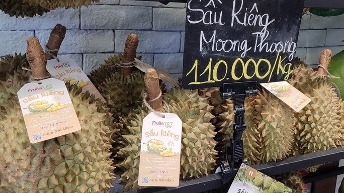 Xuất khẩu ngày 11-13/11: Hai 'ông lớn' bắt tay đưa sầu riêng sang Trung Quốc; tận dụng cơ hội xuất khẩu từ UKFTA Xuất khẩu ngày 11-13/11: Hai 'ông lớn' bắt tay đưa sầu riêng sang Trung Quốc; tận dụng cơ hội xuất khẩu từ UKFTA