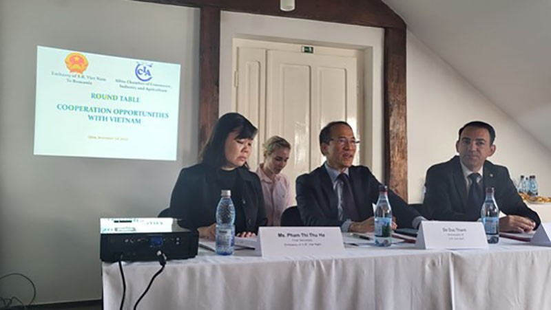 Triển khai các hoạt động ngoại giao kinh tế tại tỉnh Sibiu, Romania