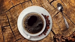 Giá cà phê hôm nay 26/11: Robusta ngắt xu hướng giảm, bức tranh kinh tế vĩ mô 'màu xám' chi phối thị trường