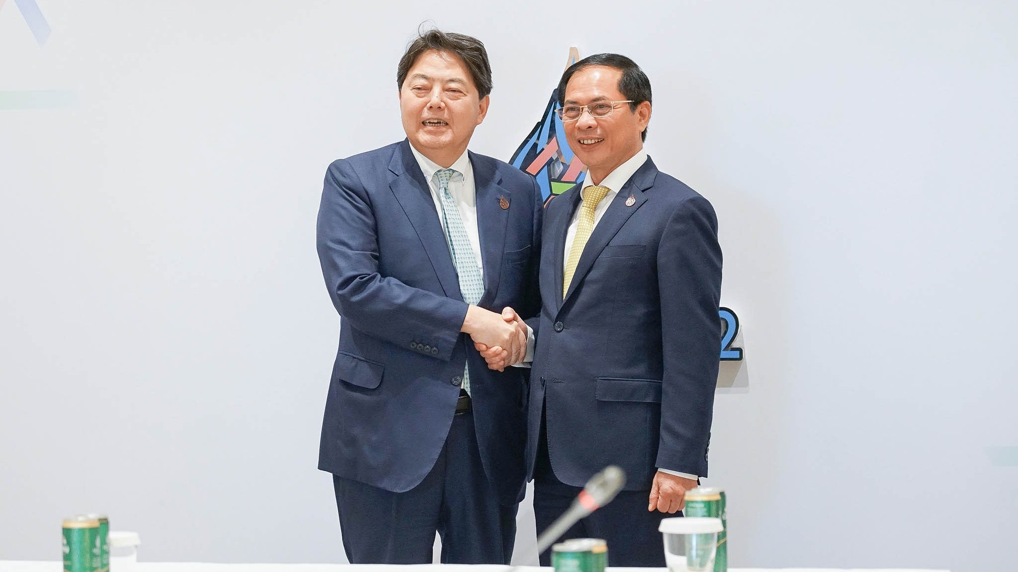 Việt Nam có vị trí quan trọng hàng đầu trong triển khai chính sách đối ngoại của Nhật Bản với khu vực Việt Nam có vị trí quan trọng hàng đầu trong triển khai chính sách đối ngoại của Nhật Bản với khu vực