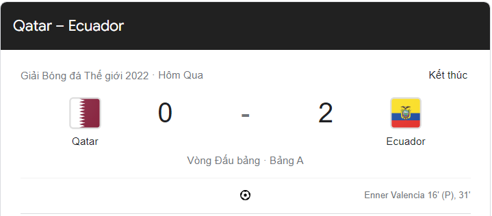 Link xem trực tiếp Qatar vs Ecuador (23h00 ngày 20/11) trận khai mạc World Cup 2022