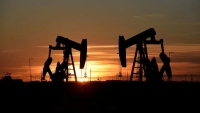 Giá xăng dầu hôm nay 23/11: Từ từ leo dốc; chuyên gia mách giải pháp ổn định thị trường xăng dầu cuối năm