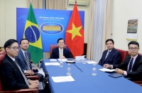 Đưa quan hệ Đối tác toàn diện Việt Nam-Brazil đi vào chiều sâu