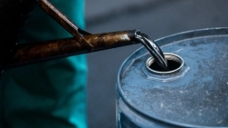 Giá xăng dầu hôm nay 26/11: Tiếp đà lao dốc; liệu giá xăng trong nước có tiếp tục giảm trong kỳ điều hành tới?