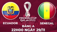 Link xem trực tiếp Ecuador vs Senegal (22h00 ngày 29/11) bảng A World Cup 2022 - trực tiếp VTV5