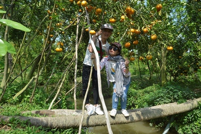 Đồng Tháp chú trọng thu hút đầu tư vào lĩnh vực nông nghiệp công nghệ cao.