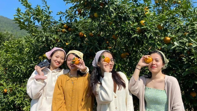 Quảng Ninh khơi dậy tiềm năng OCOP gắn với du lịch Quảng Ninh khơi dậy tiềm năng OCOP gắn với du lịch