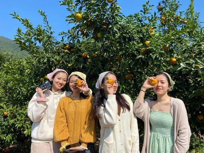 Quảng Ninh khơi dậy các tiềm năng OCOP gắn với du lịch