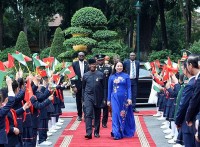 Phó Chủ tịch nước Võ Thị Ánh Xuân hội đàm với Phó Tổng thống Nigeria Yemi Osinbajo