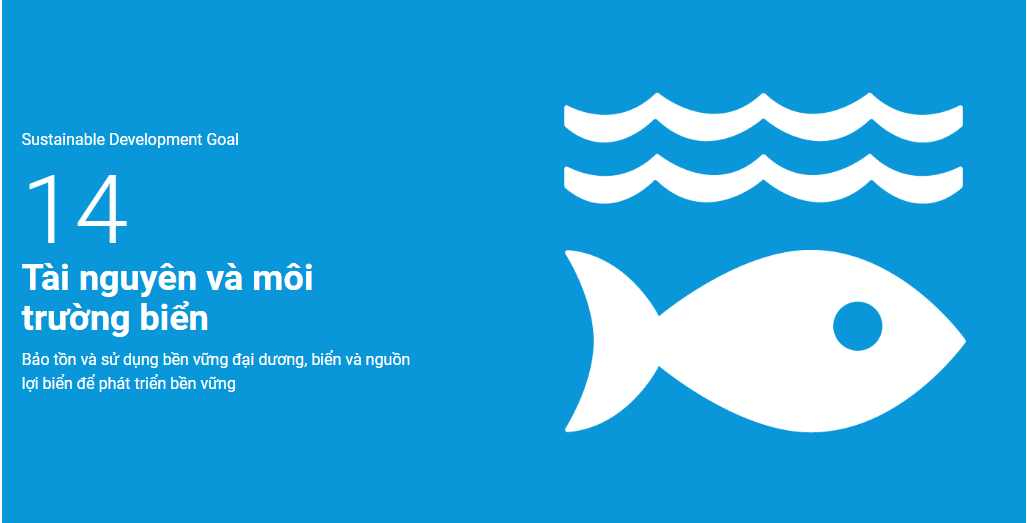 Việt Nam nỗ lực thực thi UNCLOS và thực hiện SDG 14 (Kỳ II)