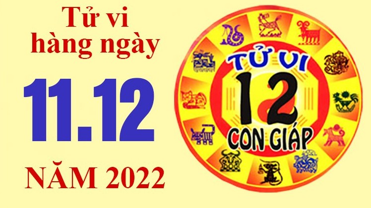 Tử vi hôm nay, xem tử vi 12 con giáp ngày 11/12/2022: Tuổi Tỵ tình cảm đẹp hơn