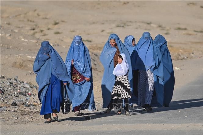 Liên hợp quốc kêu gọi đóng góp tài chính cho quỹ cứu giúp người khuyết tật, người già, phụ nữ và trẻ em gái