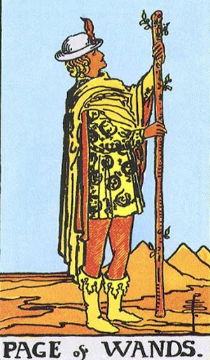 Bói bài tarot hàng ngày: