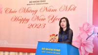Thứ trưởng Ngoại giao Lê Thị Thu Hằng gặp gỡ báo chí nước ngoài nhân dịp năm mới 2023