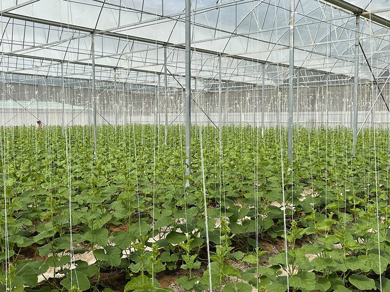 nganh nong nghiep tay ninh tap trung nang cao gia tri gia tang va phat trien ben vung