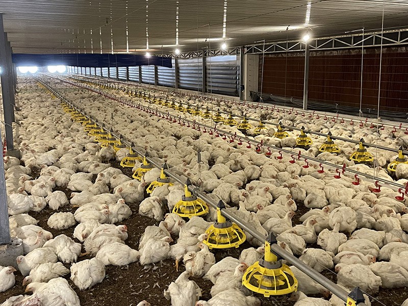 Ngành Nông nghiệp Tây Ninh tập trung nâng cao giá trị gia tăng và phát triển bền vững