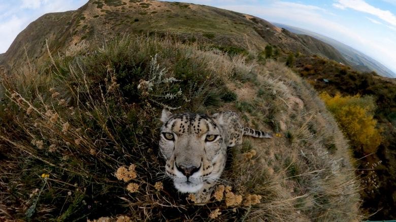 Ảnh ấn tượng tuần (12 18/12): Tổng thống Nga bàn tương lai chiến dịch ở Ukraine, Thủ tướng Đức nói về ‘ngày tốt lành’, du khách Việt mặc Hanbok ở Hàn