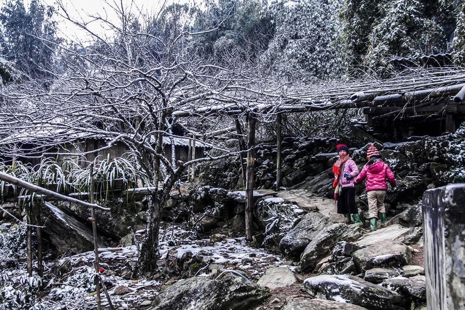 Lào Cai thúc đẩy