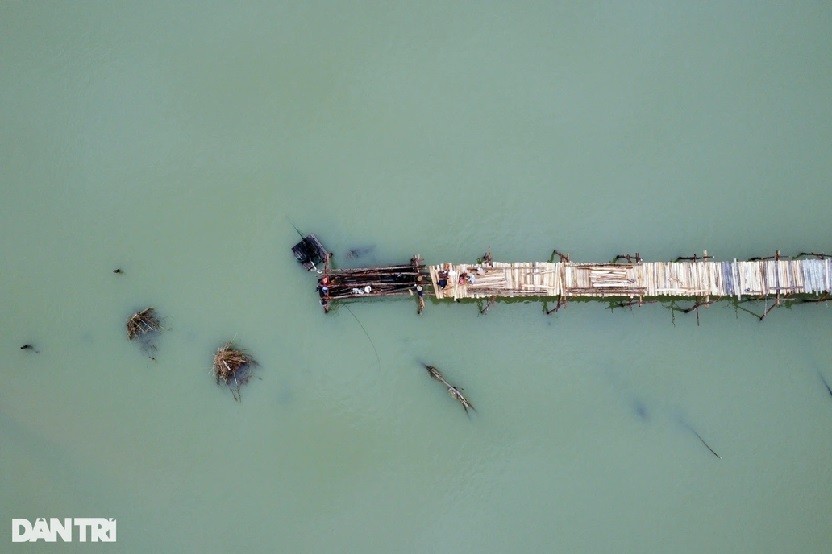 Dựng lại cầu gỗ Ông Cọp đẹp nên thơ dài nhất Việt Nam