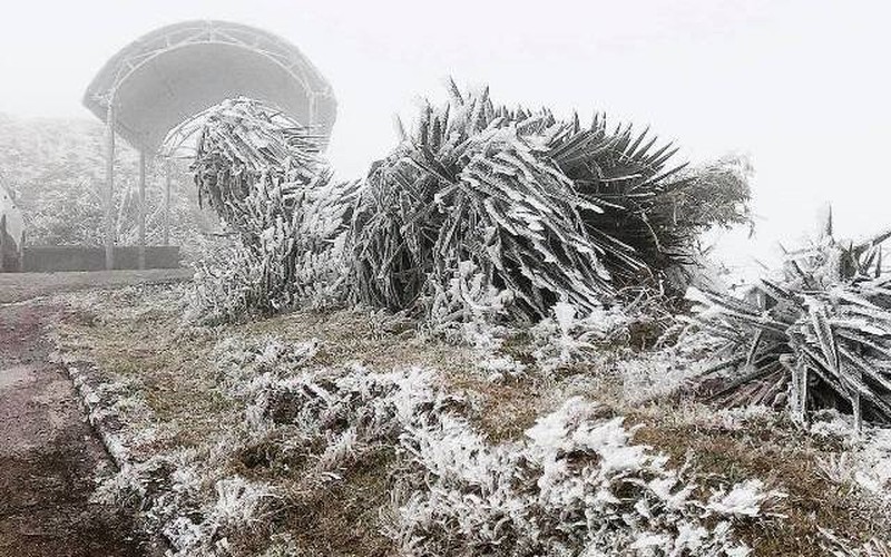 Dự báo không khí lạnh: Từ chiều và đêm 28/12, Bắc Bộ, Thanh Hóa rét đậm, vùng núi rét hại; vùng núi cao có mưa tuyết và băng giá Dự báo không khí lạnh: Từ chiều và đêm 28/12, Bắc Bộ, Thanh Hóa rét đậm, vùng núi rét hại; vùng núi cao có mưa tuyết và băng giá