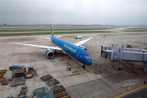 Ấm áp chuyến bay miễn phí về quê ăn Tết dành cho người Việt khó khăn ở Nhật