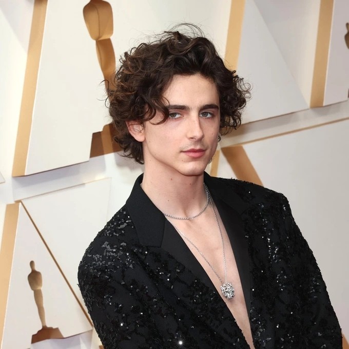 Timothée Chalamet. (Nguồn: Getty Images)