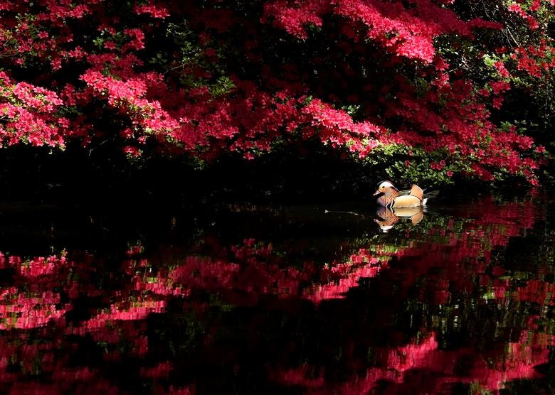 Năm 2022: Những hình ảnh ấn tượng