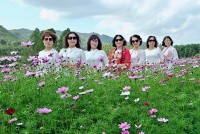 Dịp Tết Dương lịch 2023, tỉnh Quảng Ninh đón khoảng 106.000 lượt khách du lịch