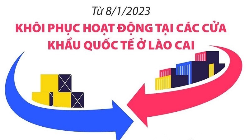 Khôi phục hoạt động tại các cửa khẩu quốc tế ở Lào Cai