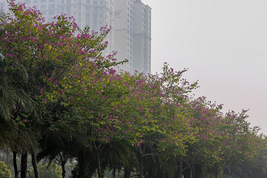 Dự báo thời tiết đêm nay và ngày mai (9-10/1): Hà Nội, Bắc Bộ, Bắc Trung Bộ trời rét; Trung Bộ, Tây Nguyên, Nam Bộ mưa rào rải rác; Tây Bắc ngày nắng